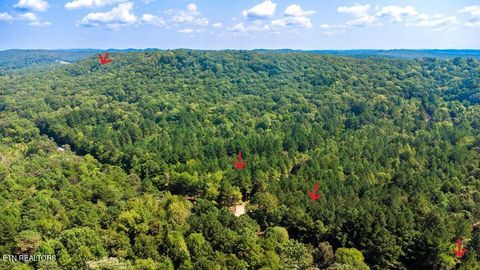Tiny photo for 34 State Highway 304, Ten Mile, TN 37880 (MLS # 1344027)