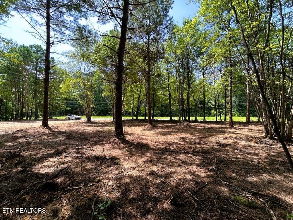 Photo of 34 State Highway 304, Ten Mile, TN 37880 (MLS # 1344027)