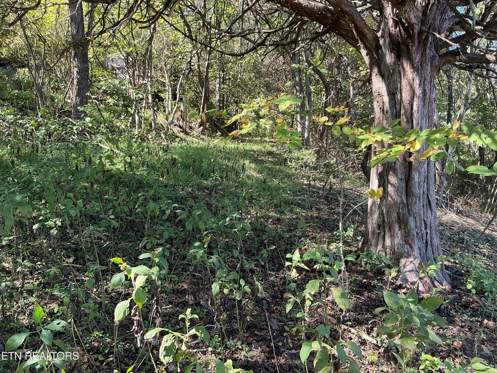 Photo of - - - - - Moore, Powell, TN 37849 (MLS # 1339136)