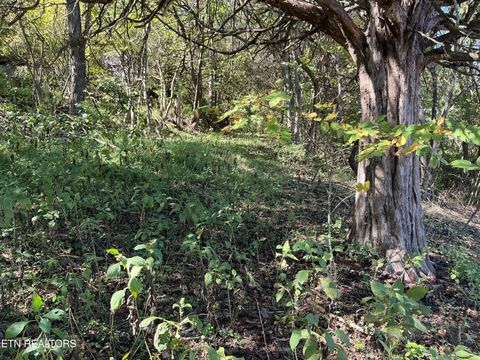 Photo of - - - - - Moore, Powell, TN 37849 (MLS # 1339136)