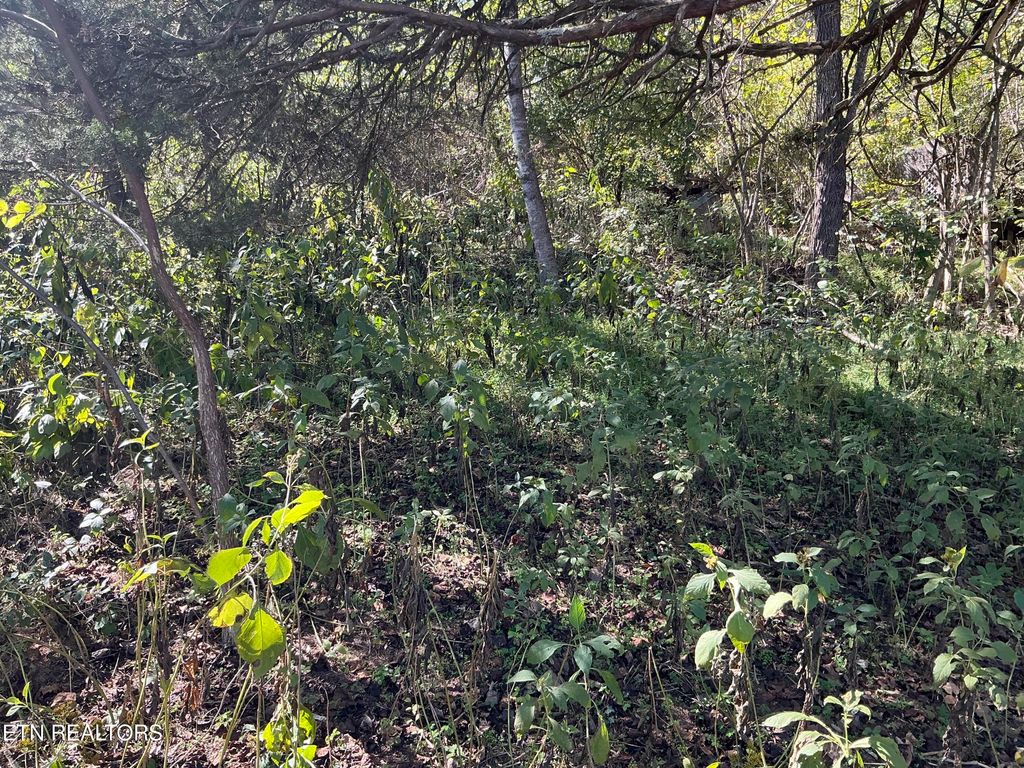 Photo of - - - - - Moore, Powell, TN 37849 (MLS # 1339136)