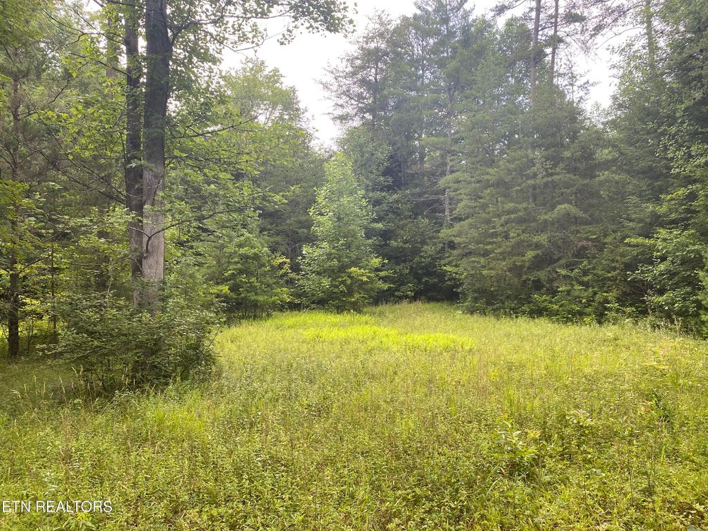 Photo of 0 Baxter Norris Rd, Crab Orchard, TN 37723 (MLS # 1322022)