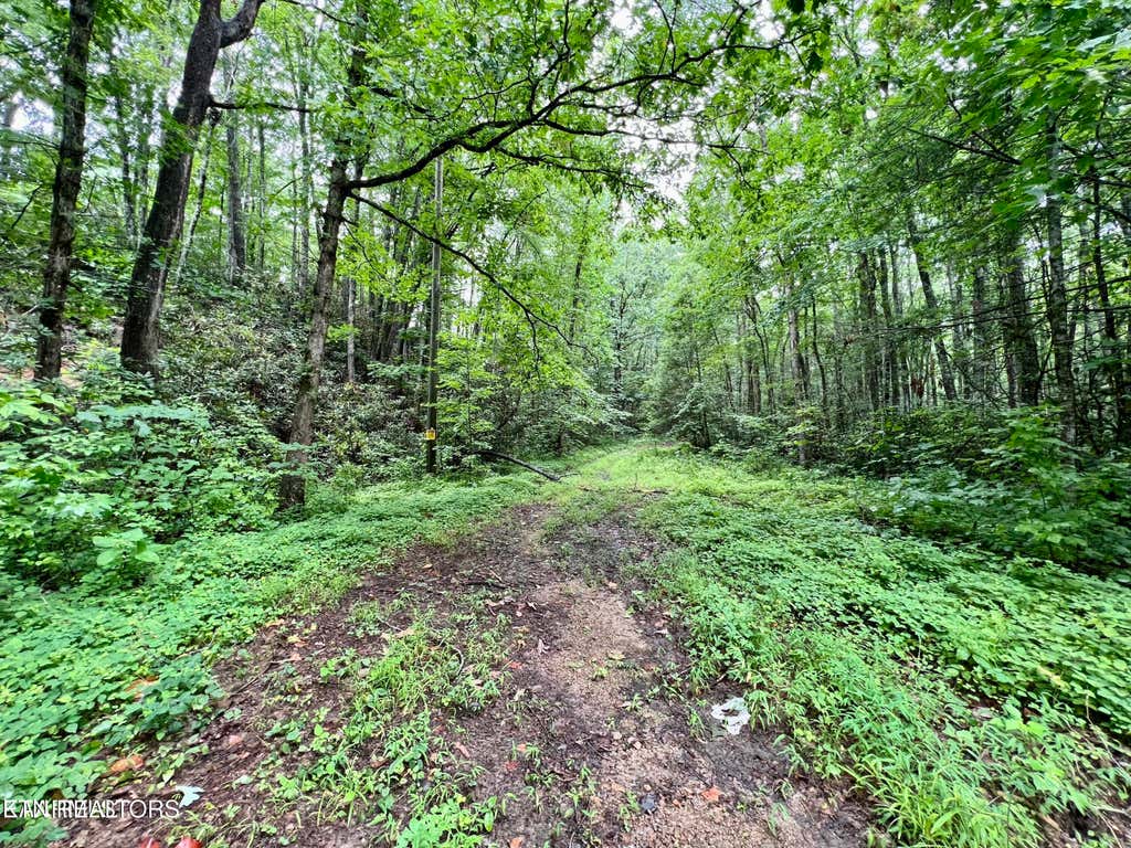 Photo of Sycamore St, Sevierville, TN 37876 (MLS # 1345092)