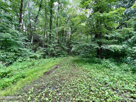 Photo of Sycamore St, Sevierville, TN 37876 (MLS # 1345092)