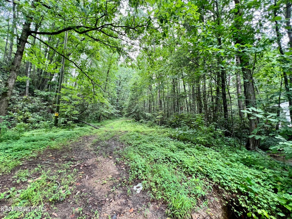 Photo of Sycamore St, Sevierville, TN 37876 (MLS # 1345092)