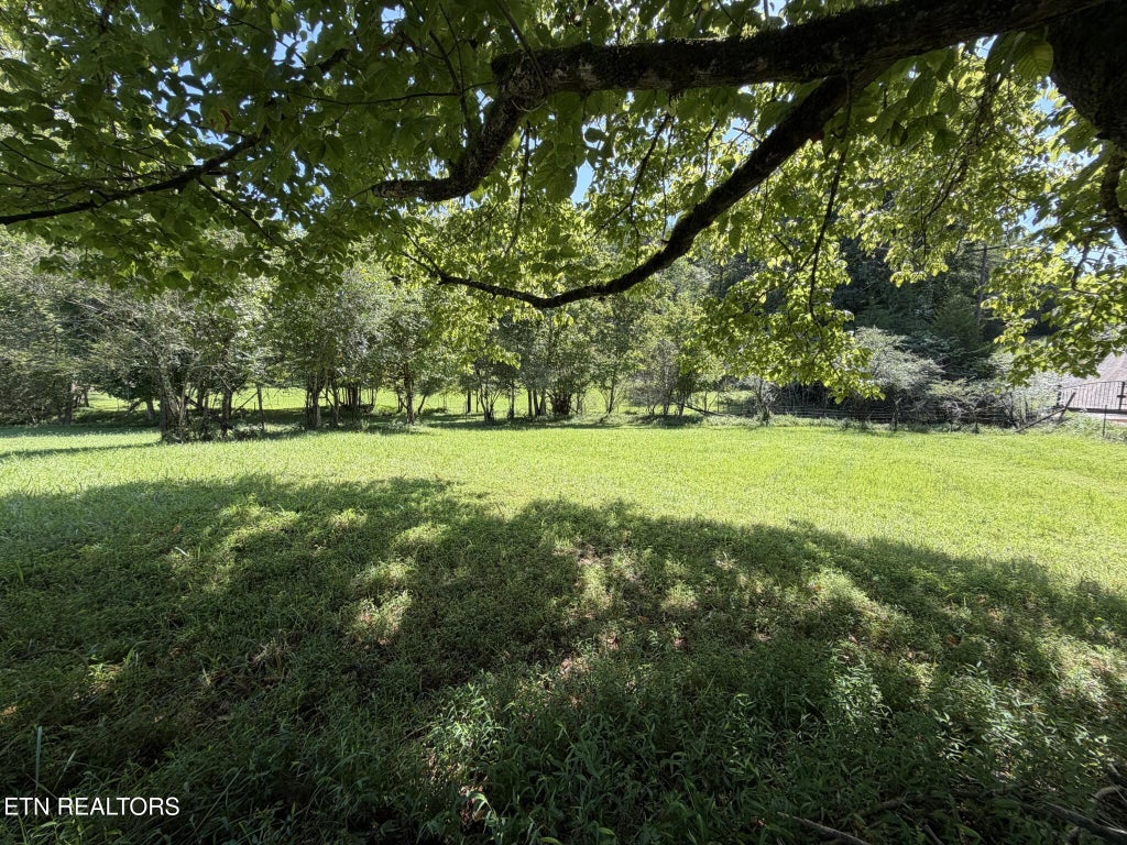 Photo of Big Creek Rd #0, Madisonville, TN 37354 (MLS # 1358481)