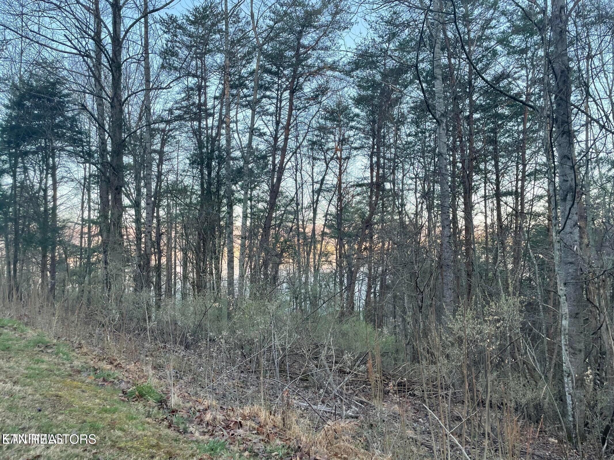 lot 14 Hiwassee Drive