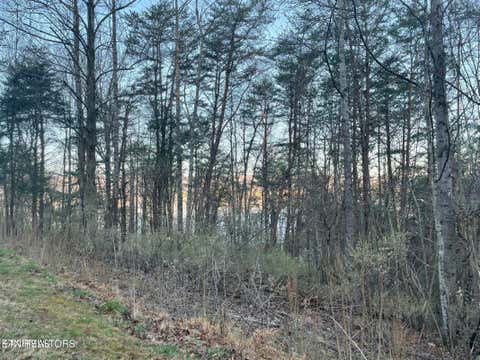 Tiny photo for 14 Hiwassee Drive, Jacksboro, TN 37757 (MLS # 1343219)