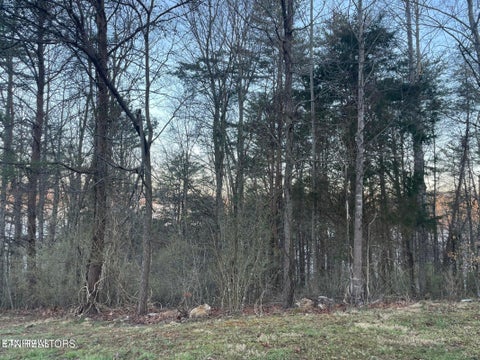 Photo of 14 Hiwassee Drive, Jacksboro, TN 37757 (MLS # 1343219)