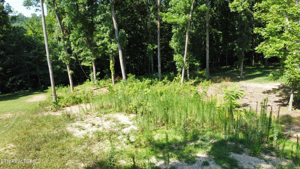 Photo of 48 Cherokee Cove Estates, Rutledge, TN 37861 (MLS # 1308813)