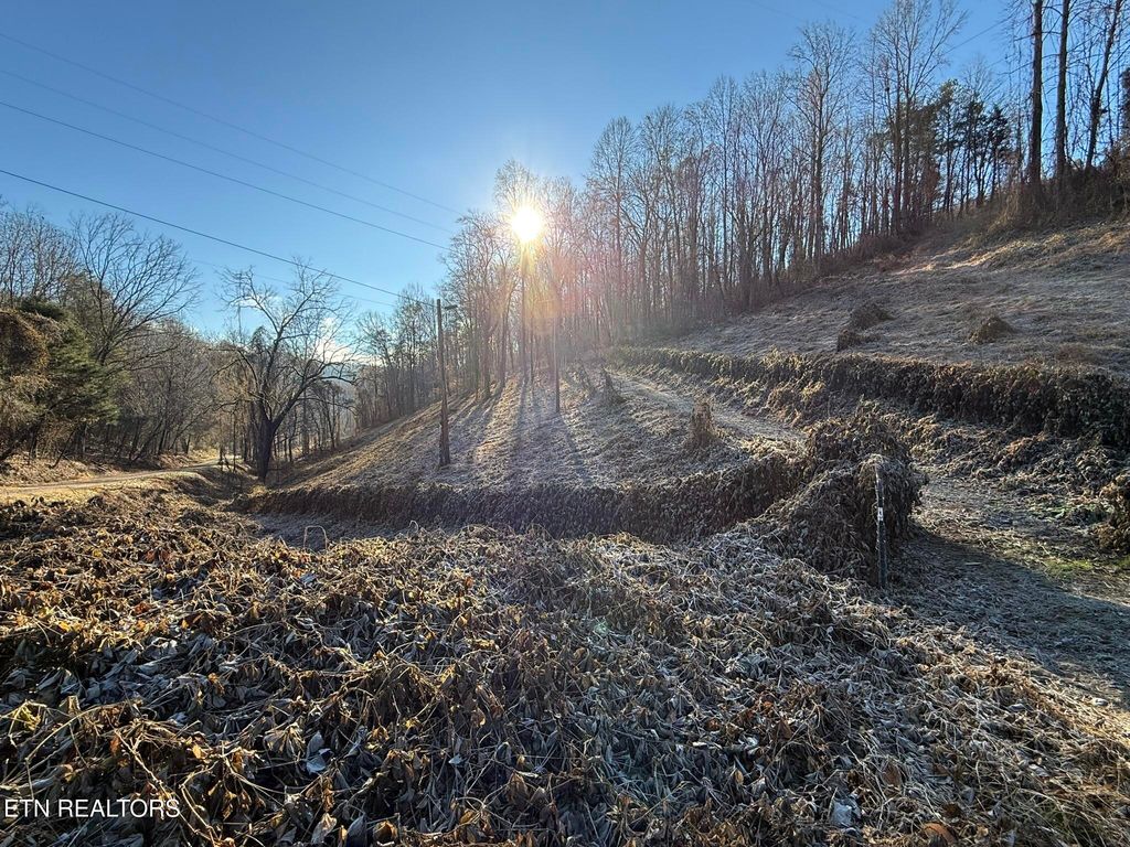 Photo of S Marlowe Lane, Speedwell, TN 37870 (MLS # 1322847)