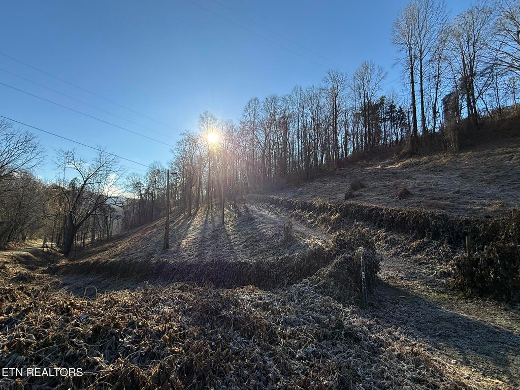 Photo of S Marlowe Lane, Speedwell, TN 37870 (MLS # 1322847)