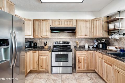 Tiny photo for 2951 Patty View Way, Sevierville, TN 37862 (MLS # 1332450)