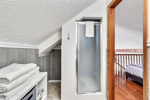 Tiny photo for 2951 Patty View Way, Sevierville, TN 37862 (MLS # 1332450)