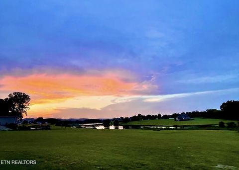 Tiny photo for 130131 Fair Meadow Drive, Dandridge, TN 37725 (MLS # 1326907)