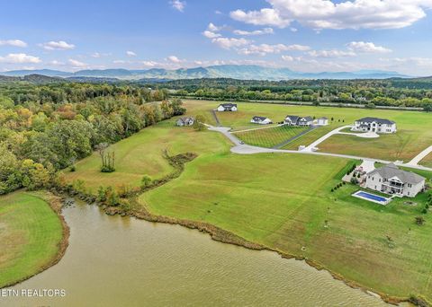 Tiny photo for 130131 Fair Meadow Drive, Dandridge, TN 37725 (MLS # 1326907)