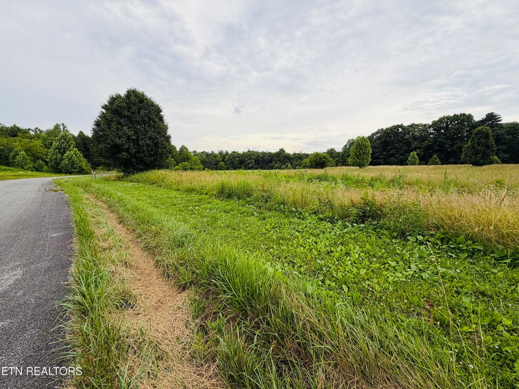Photo of 98 Tyler Tr, Jamestown, TN 38556 (MLS # 1344055)