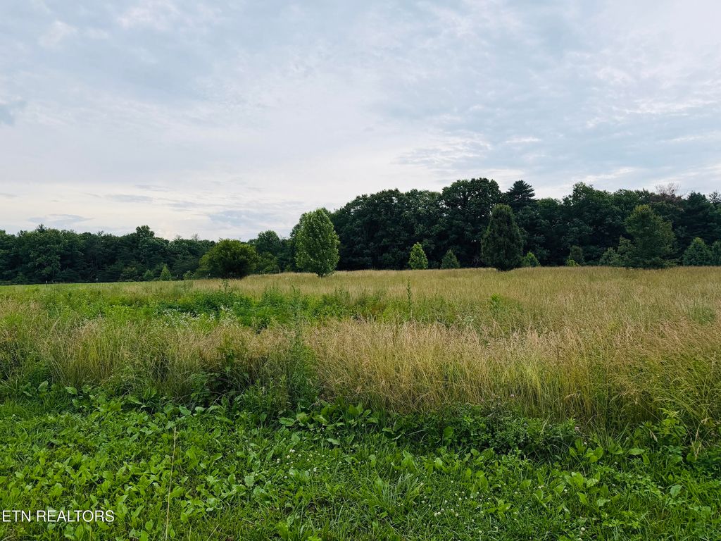 Photo of 98 Tyler Tr, Jamestown, TN 38556 (MLS # 1344055)