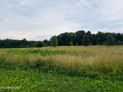 Photo of 98 Tyler Tr, Jamestown, TN 38556 (MLS # 1344055)