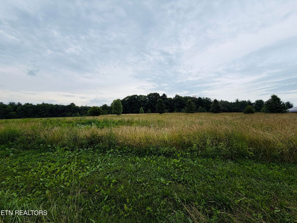 Photo of 98 Tyler Tr, Jamestown, TN 38556 (MLS # 1344055)