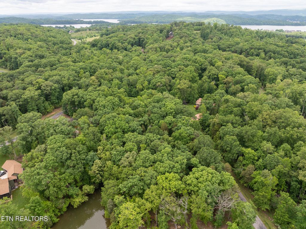 Photo of E Shore Drive, Rockwood, TN 37854 (MLS # 1300146)