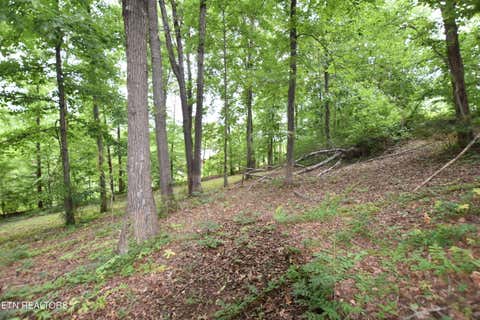 Tiny photo for Grove Lane, Clinton, TN 37716 (MLS # 1345458)