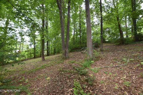 Tiny photo for Grove Lane, Clinton, TN 37716 (MLS # 1345458)