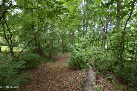 Tiny photo for Grove Lane, Clinton, TN 37716 (MLS # 1345458)