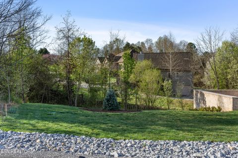 Tiny photo for 119 Hanani Tr, Vonore, TN 37885 (MLS # 1332747)