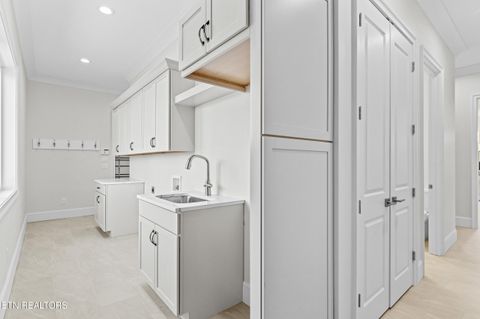 Tiny photo for 119 Hanani Tr, Vonore, TN 37885 (MLS # 1332747)