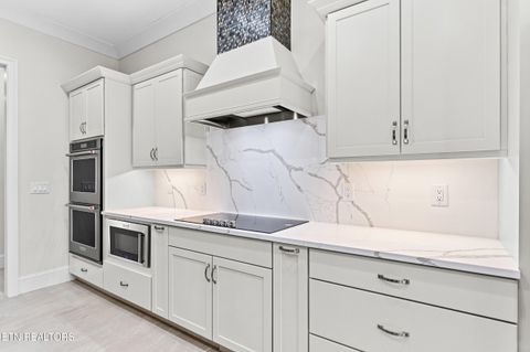 Tiny photo for 119 Hanani Tr, Vonore, TN 37885 (MLS # 1332747)