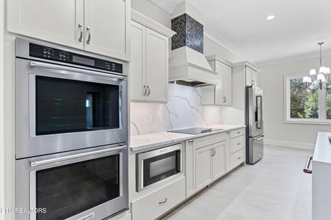 Tiny photo for 119 Hanani Tr, Vonore, TN 37885 (MLS # 1332747)