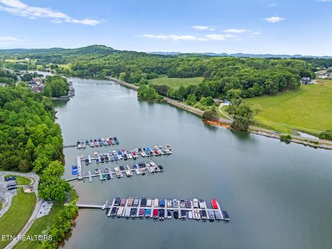 Tiny photo for 119 Hanani Tr, Vonore, TN 37885 (MLS # 1332747)