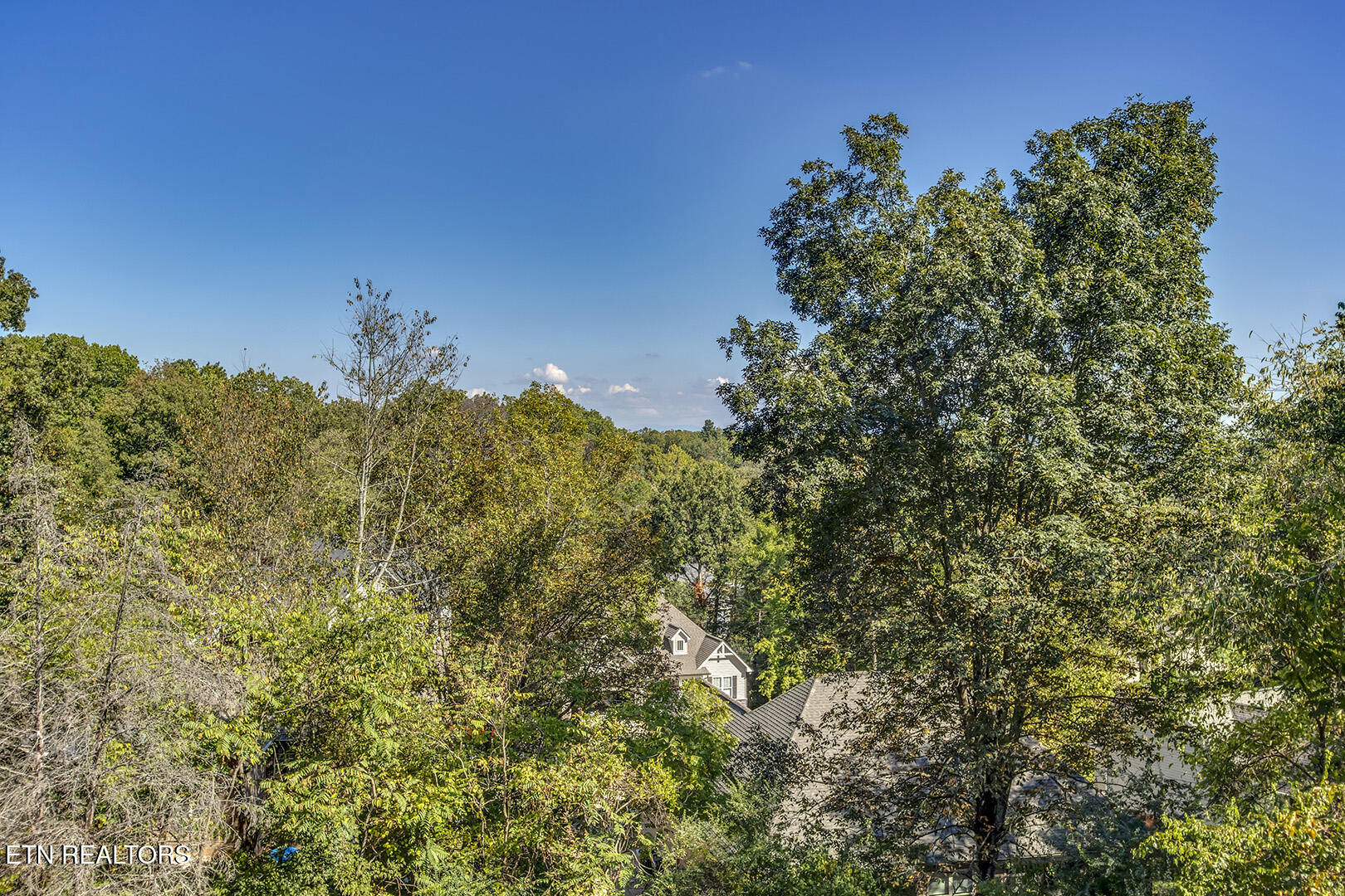 Loudon, Tennessee 37774, United States, 4 Bedrooms Bedrooms, ,3 BathroomsBathrooms,Residential,Active,89310