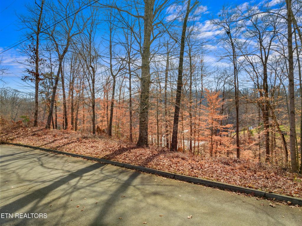 Photo of 2 Persimmon Orchard Drive, Dandridge, TN 37725 (MLS # 1288382)