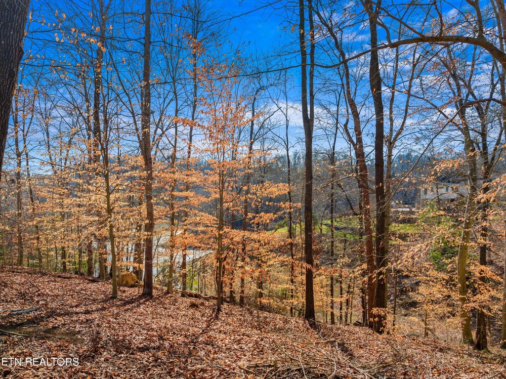 Photo of 2 Persimmon Orchard Drive, Dandridge, TN 37725 (MLS # 1288382)