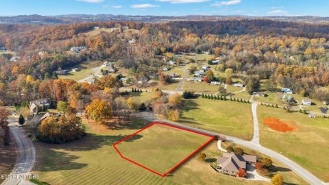 Tiny photo for 60 Majestic Circle, Dandridge, TN 37725 (MLS # 1321604)