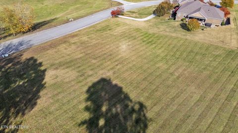 Tiny photo for 60 Majestic Circle, Dandridge, TN 37725 (MLS # 1321604)