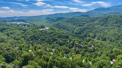 Tiny photo for 1019 Daisy Lane, Gatlinburg, TN 37738 (MLS # 1319157)