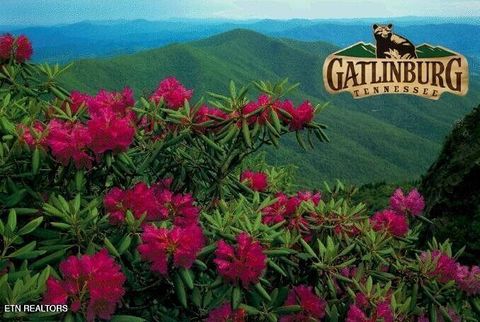 Tiny photo for 1019 Daisy Lane, Gatlinburg, TN 37738 (MLS # 1319157)