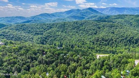 Tiny photo for 1019 Daisy Lane, Gatlinburg, TN 37738 (MLS # 1319157)