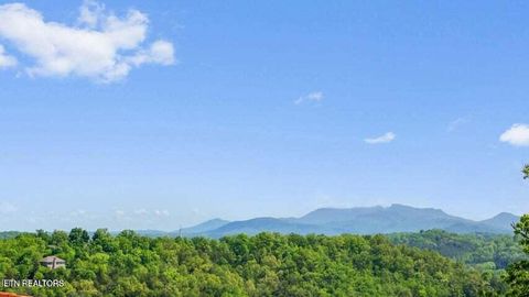 Tiny photo for 1019 Daisy Lane, Gatlinburg, TN 37738 (MLS # 1319157)