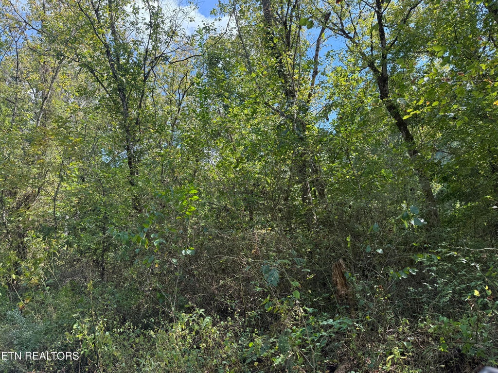 Photo of Kenwood Lane, LaFollette, TN 37766 (MLS # 1357967)