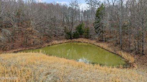 Tiny photo for 1201 Laurel Bluff Rd, Kingston, TN 37763 (MLS # 1330267)