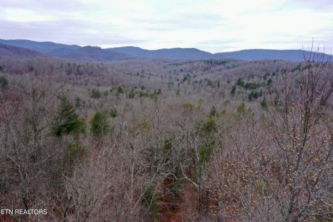 Wolf Creek Rd Robbins TN 37852