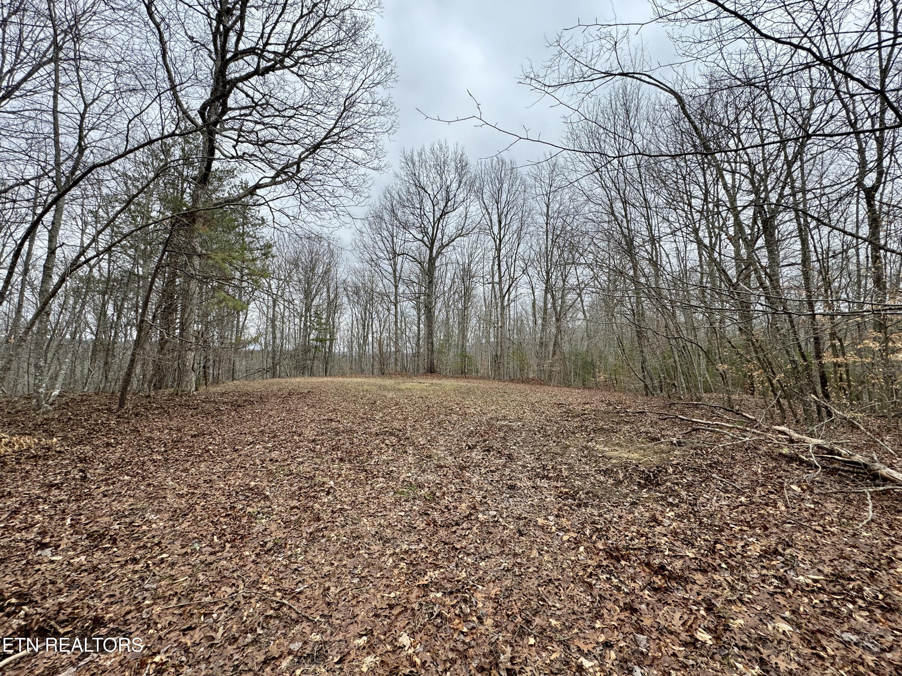 Wolf Creek Rd