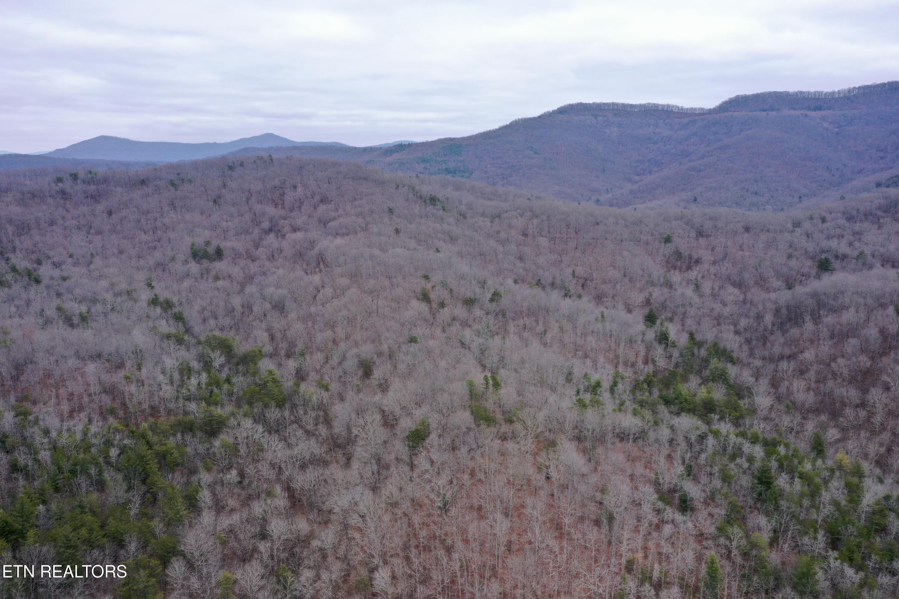Wolf Creek Rd