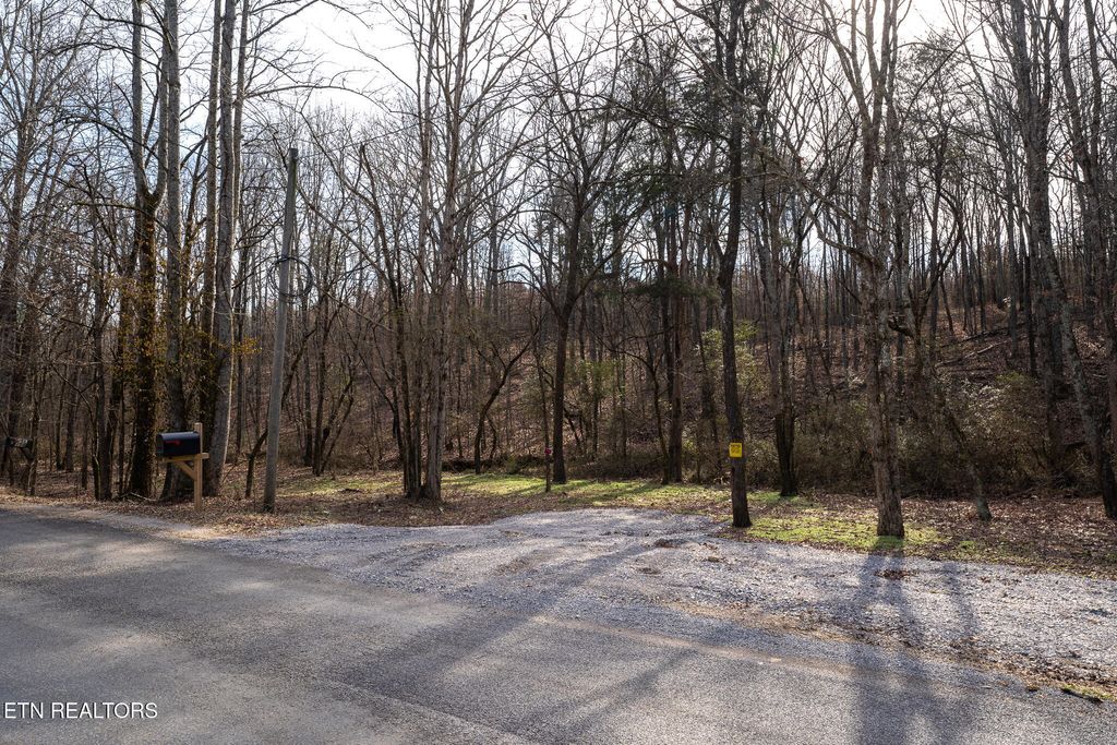 Photo of 154 County Road 299, Sweetwater, TN 37874 (MLS # 1288076)