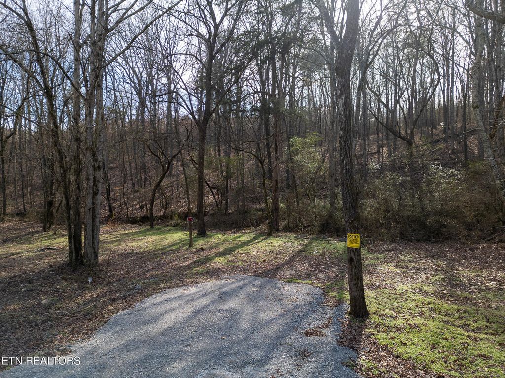 Photo of 154 County Road 299, Sweetwater, TN 37874 (MLS # 1288076)