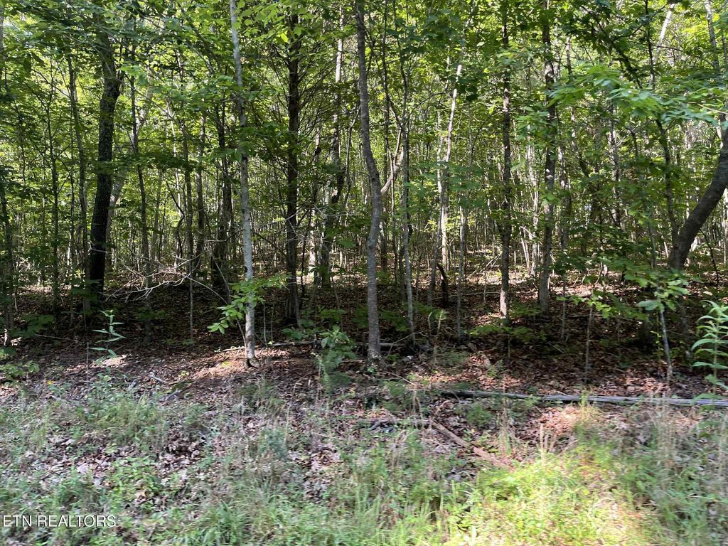 Photo of 1 Keylon Hollow Road, Ten Mile, TN 37880 (MLS # 1307965)